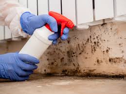 Asbestos and Lead Testing During Mold Inspection in Parkway, CA